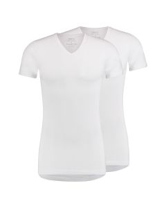 MWTS Heren T-shirt v-hals Prominent 2-Pack